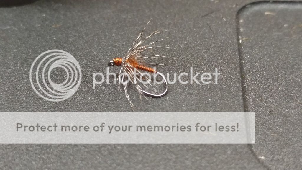 Traditional soft hackle Traditional soft hackle