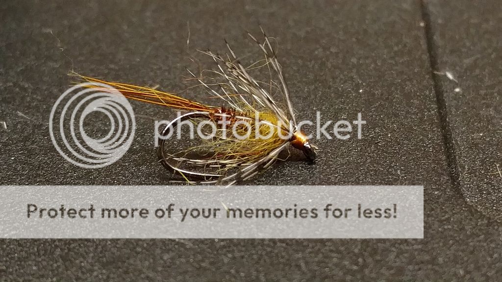 Sulfur soft hackle Sulfur soft hackle