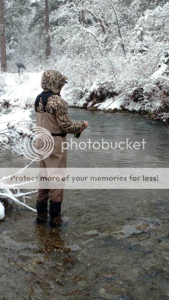 UserPostedImage
