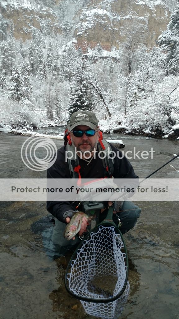 UserPostedImage