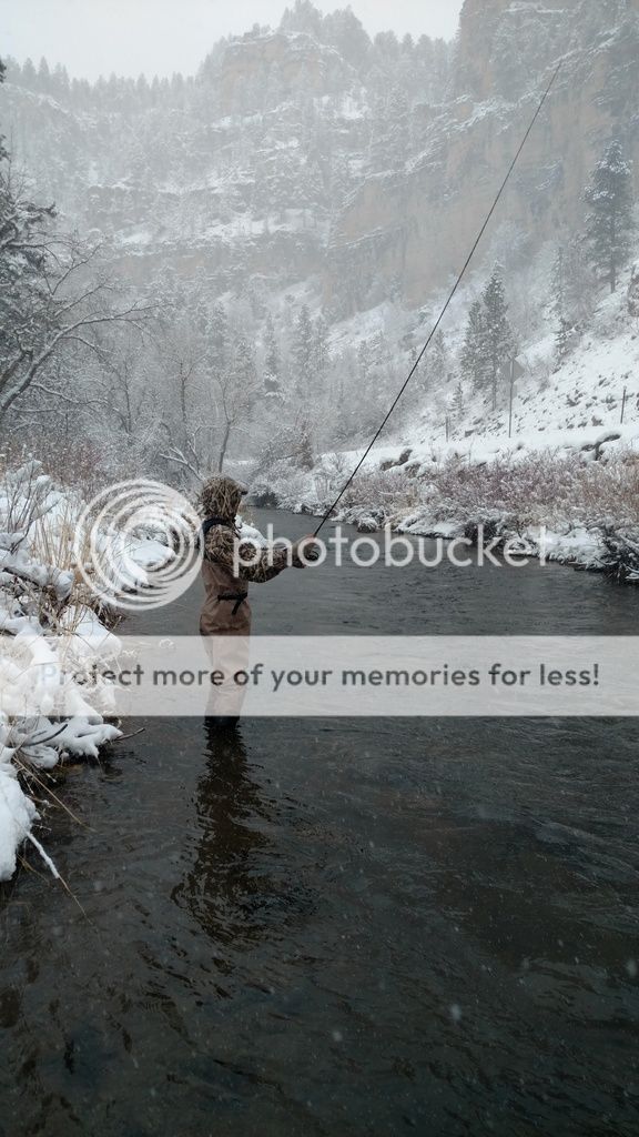 UserPostedImage