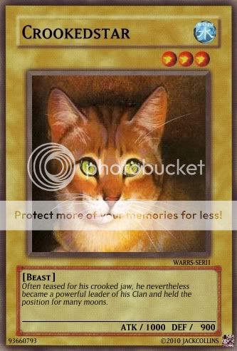 crookedstar warriors