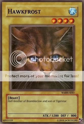 Du0026G Optical Frames