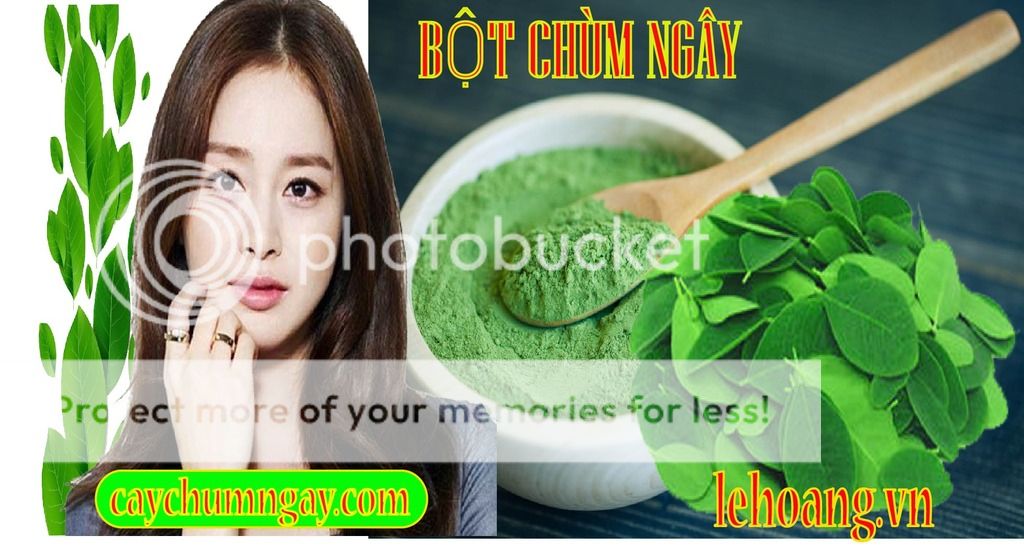 Bột chùm ngây mua ở đâu