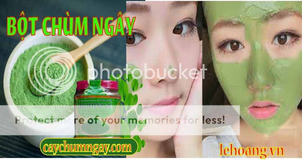 Bột chùm ngây mua ở đâu