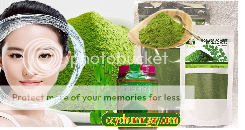 Bột chùm ngây mua ở đâu