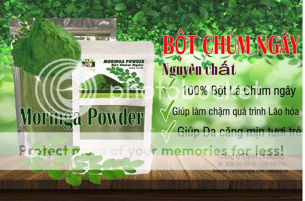Bán Bột Chùm ngây nguyên chất Tp HCM