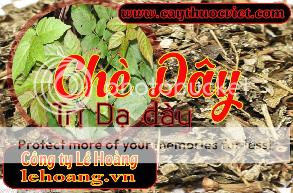 Cách chế biến Chè đây?Chè dây bán ở đâu?