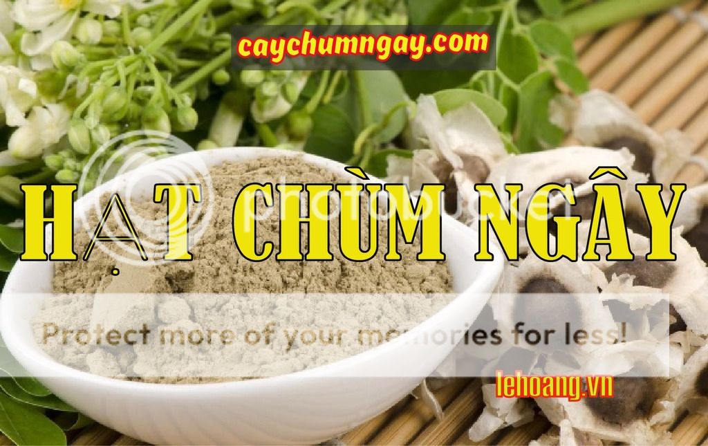 Bán Hạt Chùm ngây Tp HCM