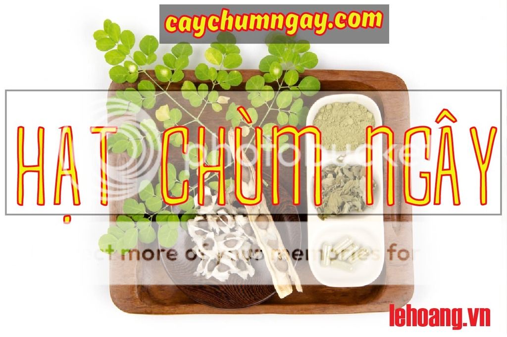 Bán Hạt Chùm ngây Tp HCM