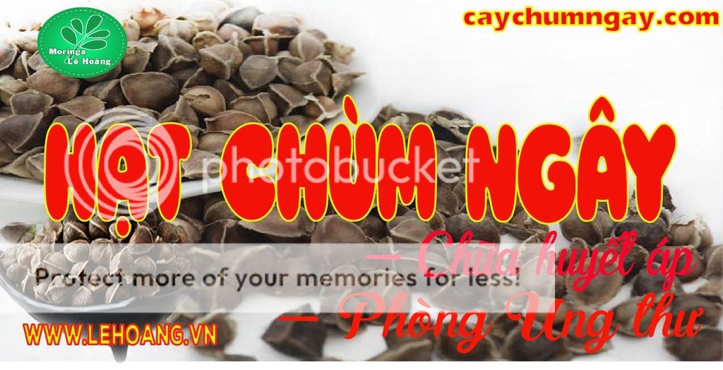 Bán Hạt Chùm ngây Tp HCM