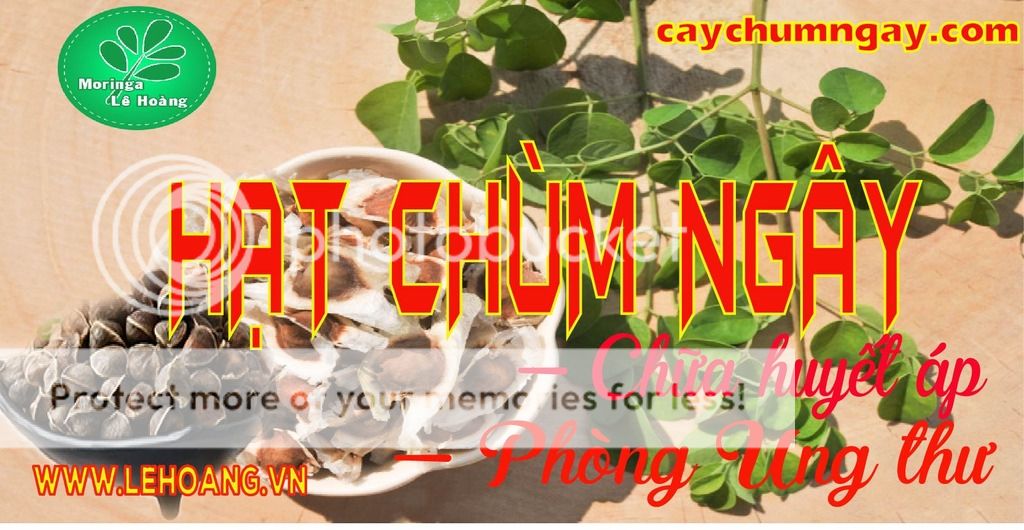 Bán Hạt Chùm ngây Tp HCM