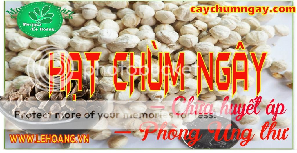 Bán Hạt Chùm ngây Tp HCM