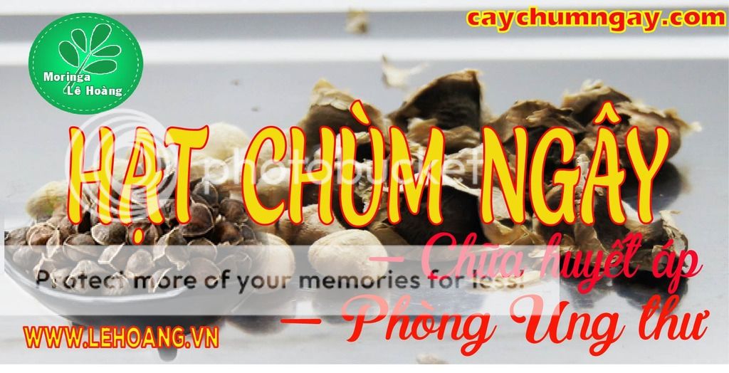Bán Hạt Chùm ngây Tp HCM