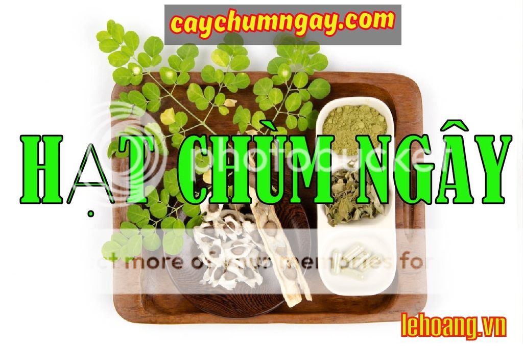 Bán Hạt Chùm ngây Tp HCM