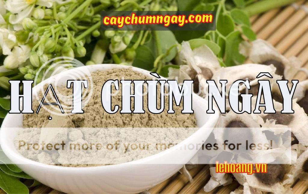 Bán Hạt Chùm ngây Tp HCM