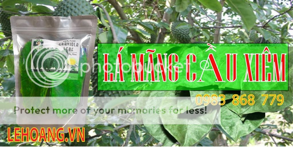 cách dùng lá mãng cầu xiêm