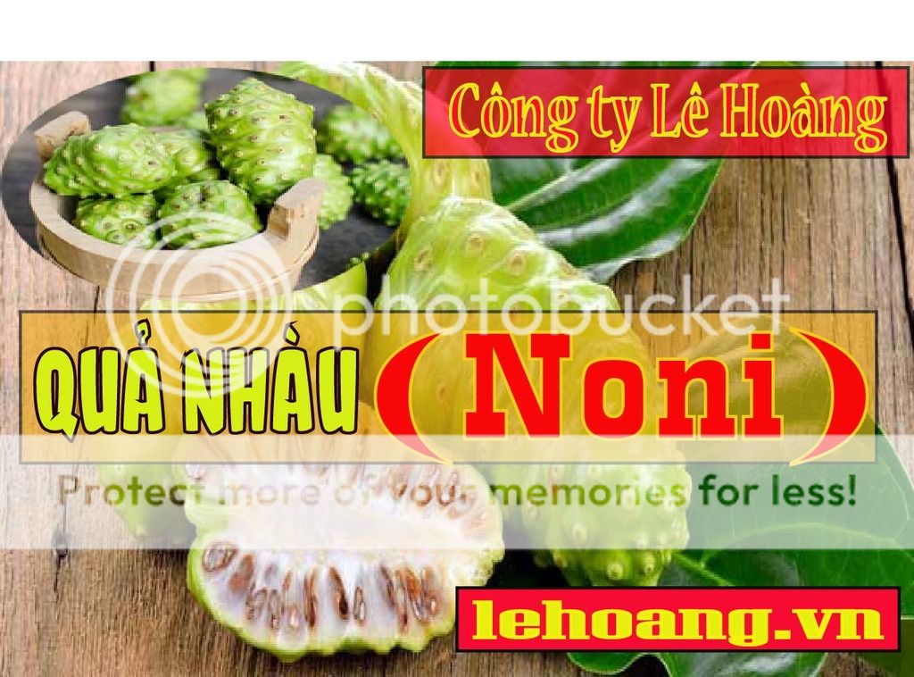 Bán Trái nhàu Tp HCM