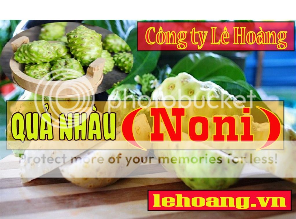 Bán Trái nhàu Tp HCM