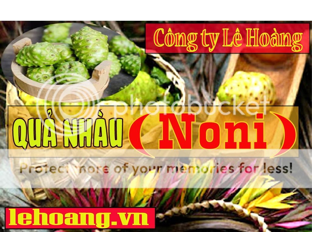 Bán Trái nhàu Tp HCM