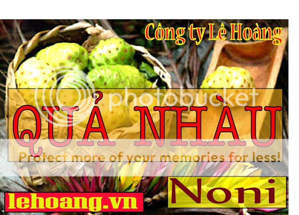 Bán Trái nhàu Tp HCM