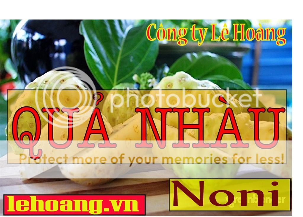 Bán Trái nhàu Tp HCM