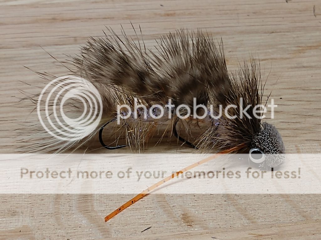 UserPostedImage
