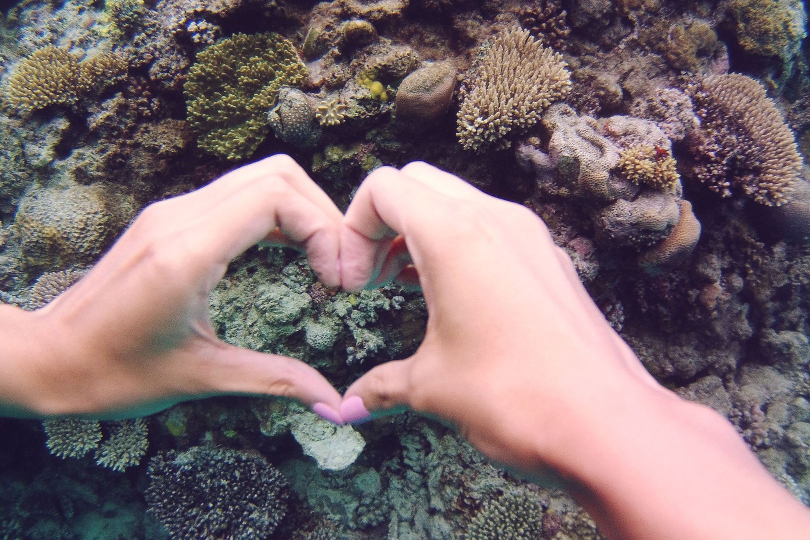 Port Douglas Great Barrier Reef Australia