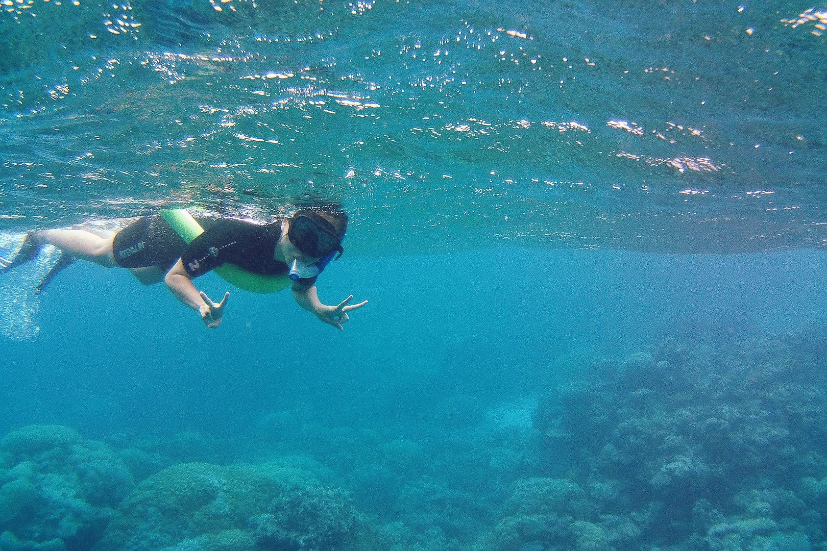 Great Barrier Reef Australia