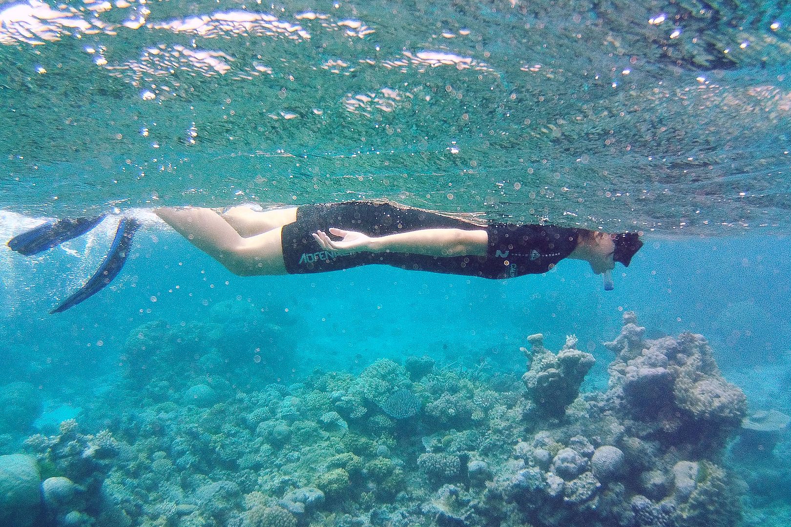 Great Barrier Reef snorkeling scuba diving Australia