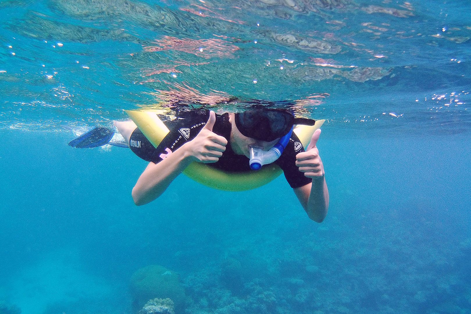 Great Barrier Reef snorkeling tour