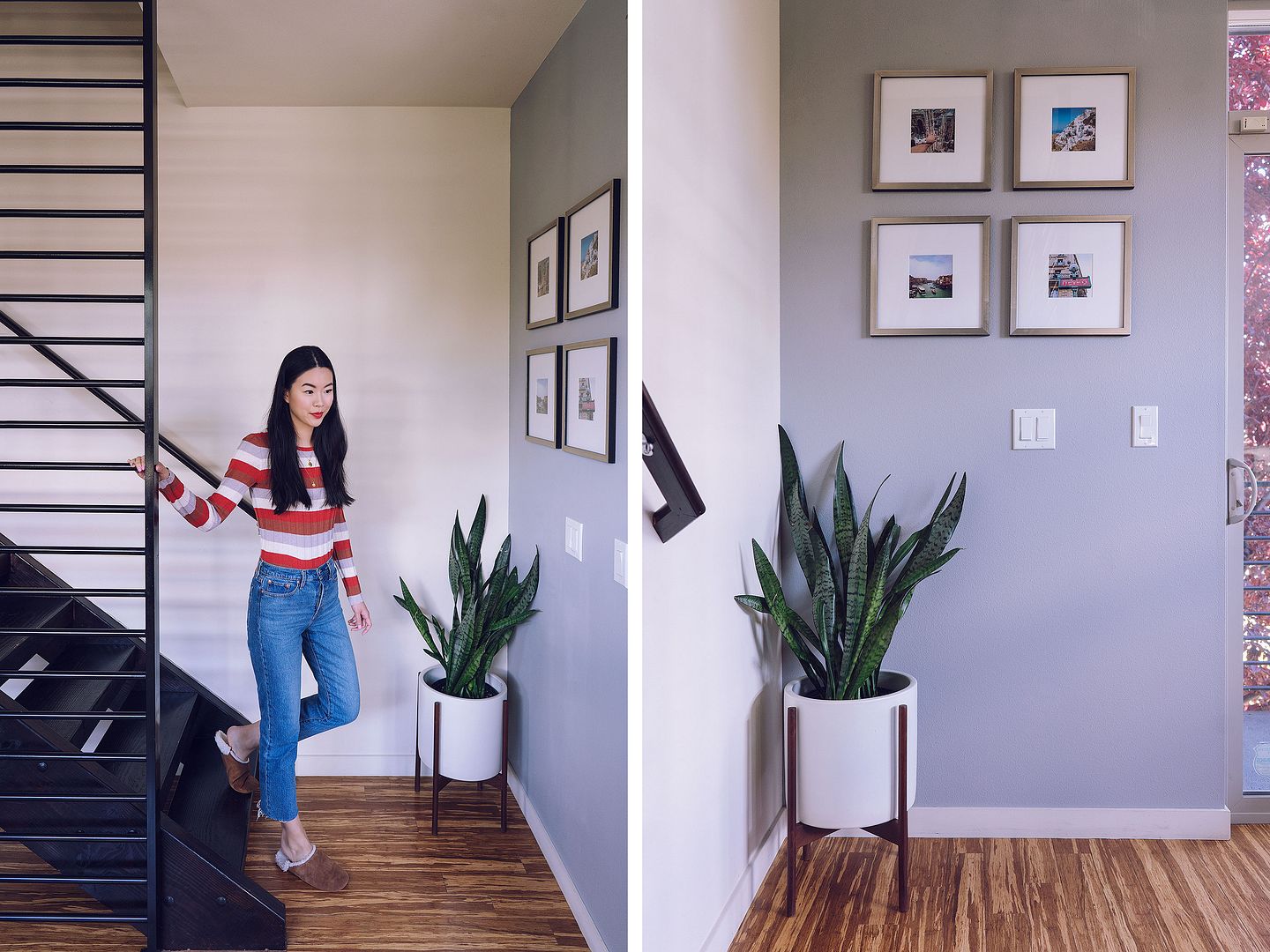 staircase gallery wall photo frame West Elm Modernica snake plant home decor