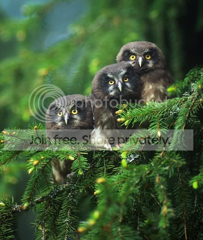 image017-4.jpg