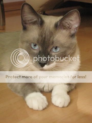 Photobucket